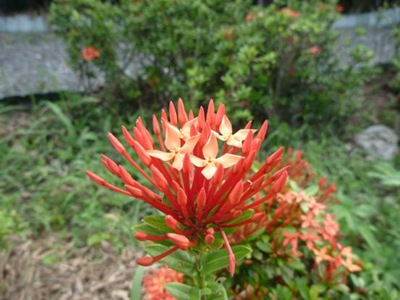 clip_image080