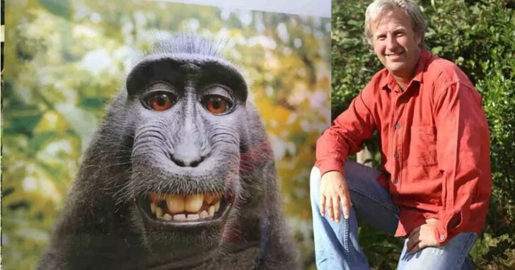 「相機被猴子偷走」拍下猴子自拍照的攝影師，因為版權問題已經打官司打到破產