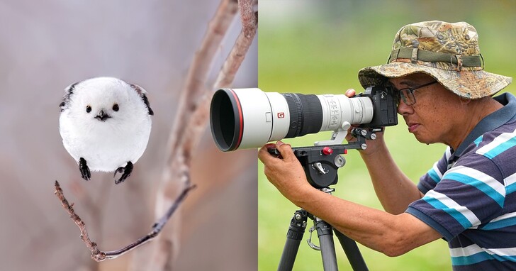 實戰飛羽攝影！Sony α9 III + SEL300F28GM，性能與機動性兼具的絕妙組合