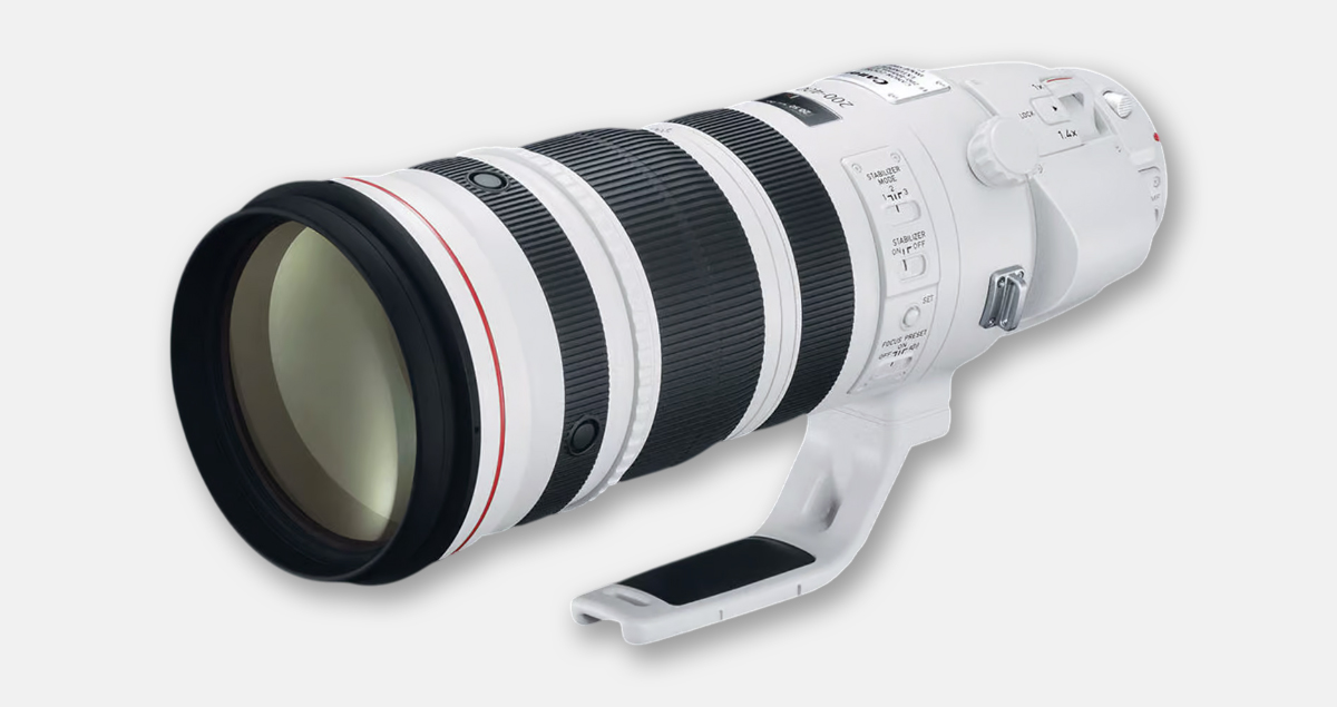 Canon 新一代超望遠變焦鏡 RF 300-600mm F5.6L IS USM 即將登場?
