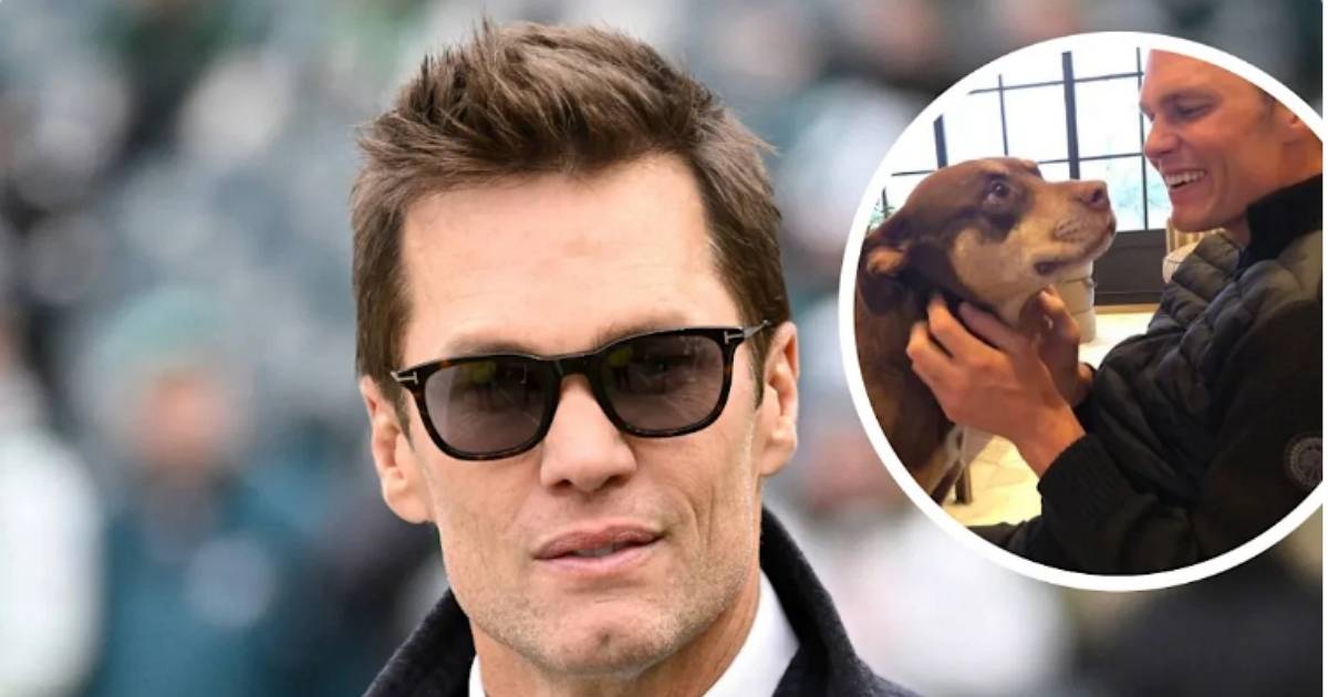 美國 NFL 球星自曝現在養的狗，是前一隻過世愛犬的複製體