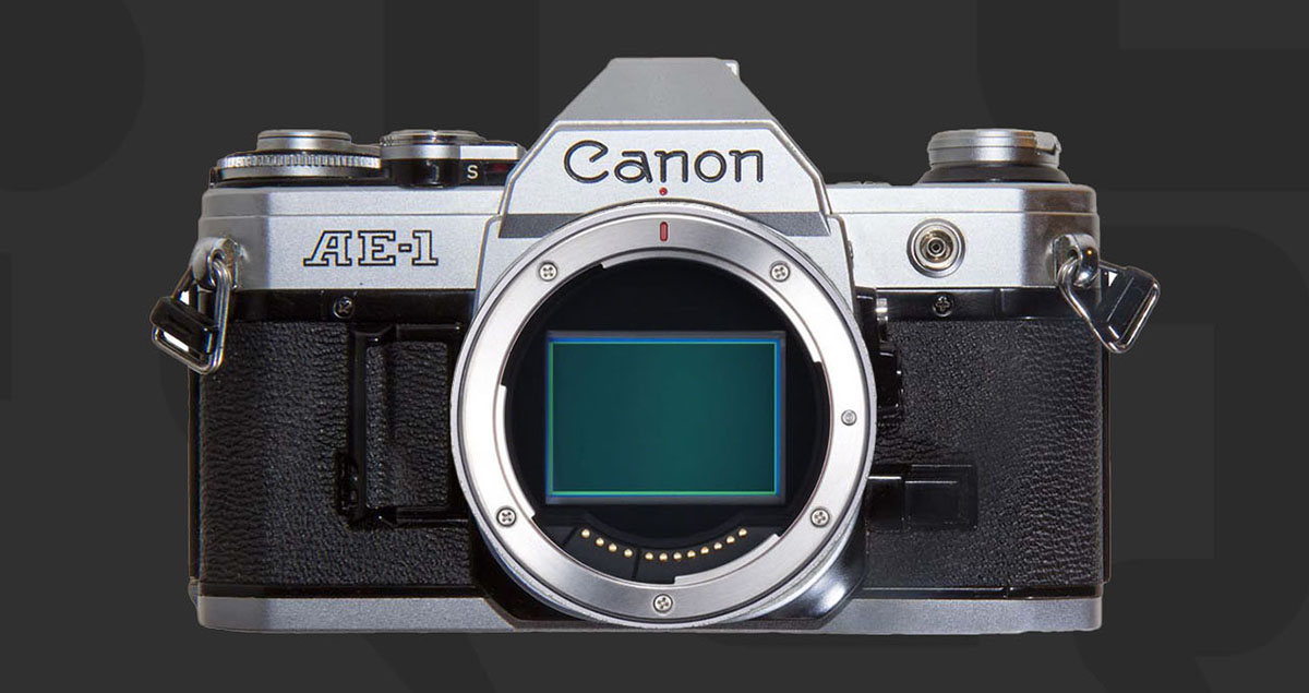 Canon 復古相機傳聞規格曝光：搭載 3,250 萬像素全片幅感光元件，預計 2026 年問世