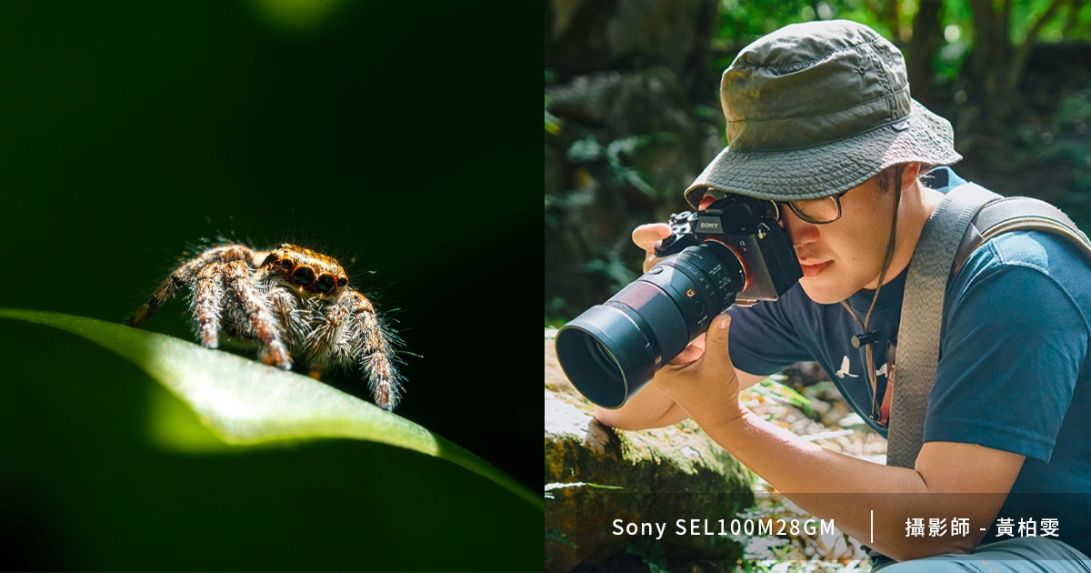 在微距之間，看見被忽略的世界，攝影師黃柏雯暢談 Sony SEL100M28GM 的創作思維