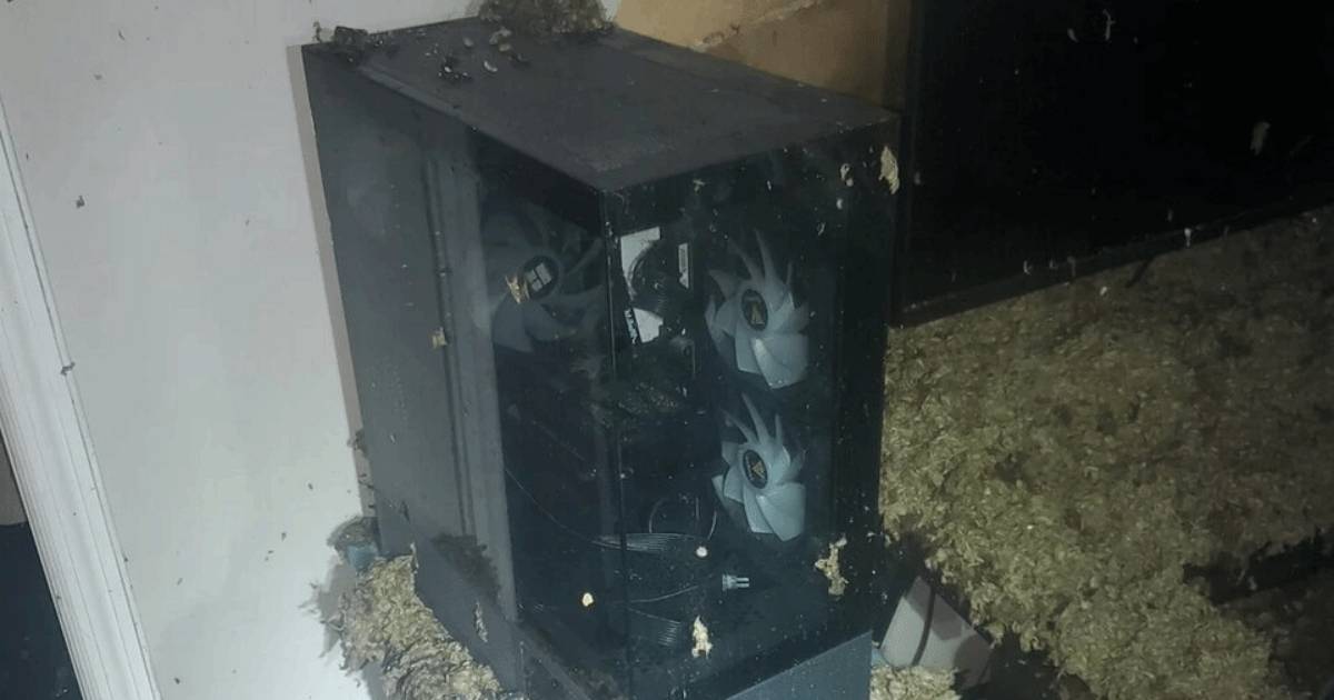 電腦火燒水淹奇蹟生還！卻因「隱形殺手」慘遭報廢，玩家淚崩：萬萬沒想到