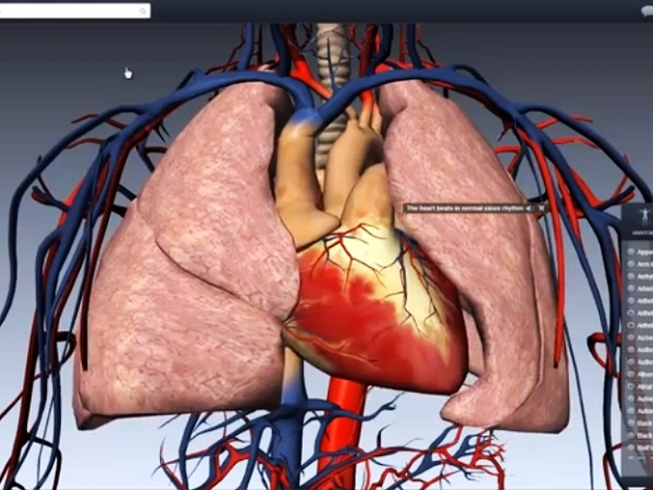 BioDigital 為醫院及研究機構提供人體生理結構互動3D模型，方便醫生解說以及病人理解病情