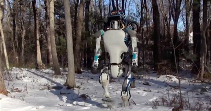 出門在樹林遛狗遇到波士頓動力測試機器人，場面像是科幻恐怖片