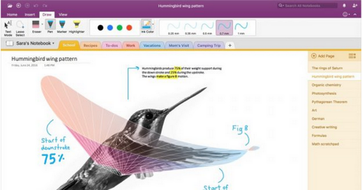 Evernote 匯入 OneNote 累積達 7,100 萬則，微軟再釋出 Mac 版筆記匯入工具