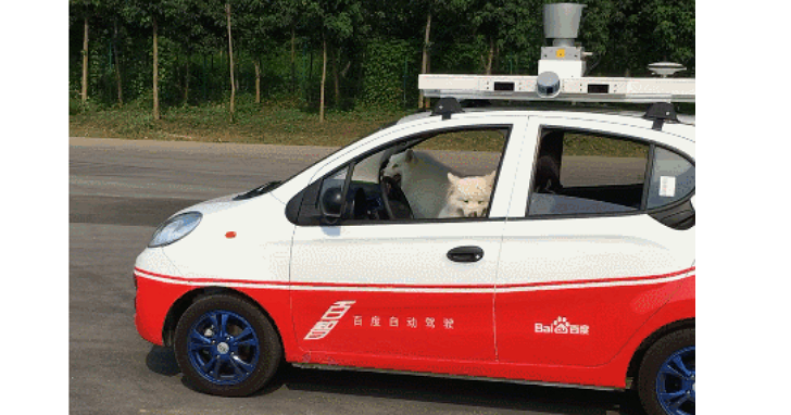 百度無人車在駕訓班測試畫面公布，駕駛員是2隻狗？