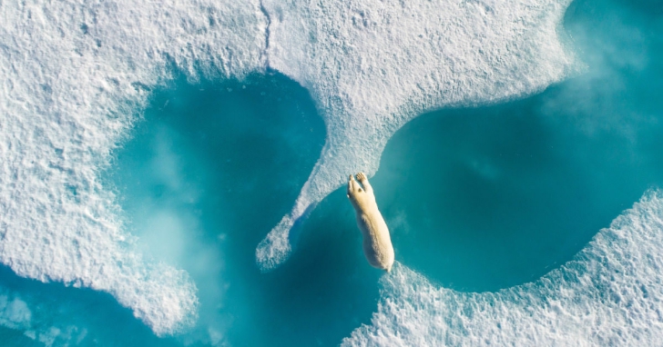 大疆 DJI 公布 2017 最震撼空拍作品，法國攝影師成功捕捉「北極熊踏上浮冰」的精彩瞬間