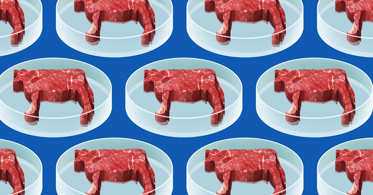 美國密蘇里州制訂了一條法律：實驗室中種出來的「肉」不能叫肉，就算你說他是素食肉也不行