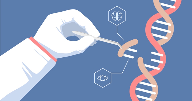 基因編輯嬰兒話題延燒， 還有哪些不能推開的科學之門？