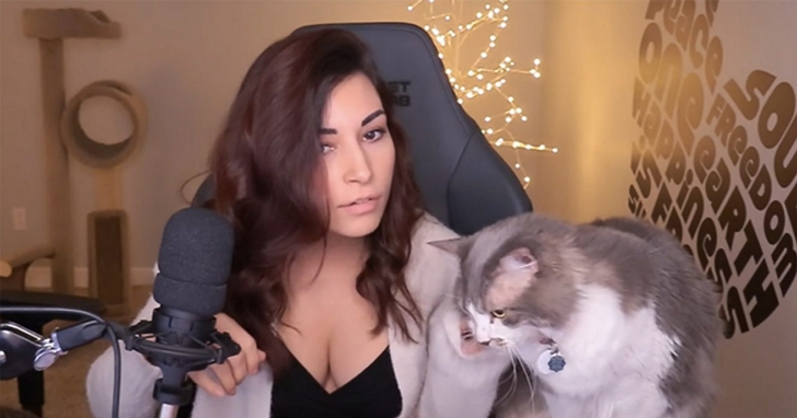 Twitch 女主播 Alinity Divine 扔貓，爭議行為給自己帶來大災難