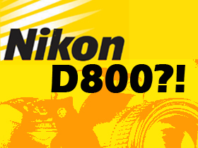 Nikon D800 走光？搶先鑑定拍攝規格