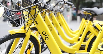 ofo 2019