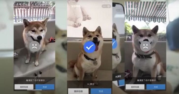 杭州推出了狗狗「鼻紋」身份證,讓寵物走失更快被尋回