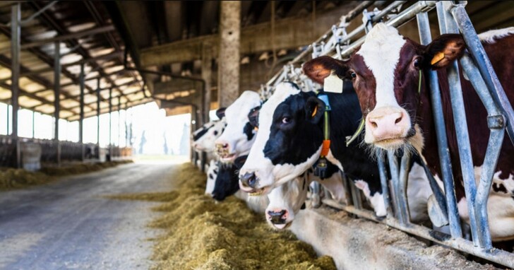 BMW與奶牛場合作將牛糞轉化為電能，帶來「有味道」的乾淨能源