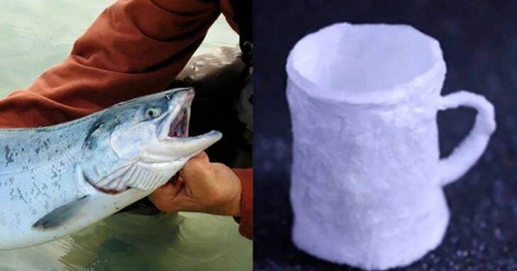 用鮭魚精子製造的塑膠替代品來了，可以被水回收