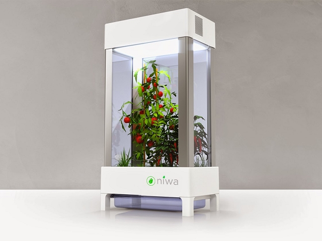 用手機也能種好植物 迷你溫室niwa 幫你接管所有的盆裁作物 T客邦