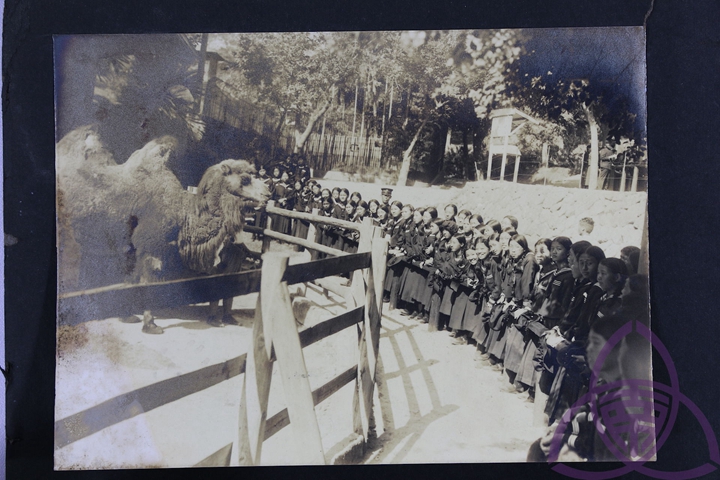 1914 年开园的圆山动物园，在日治时代是新潮的现代化景点，也是新春热门出游地，许多父母会在新年假期带小孩动物园玩。图为1920 年代，二高女学生到动物园校外旅游。图片来源：台南女中百年老照片 