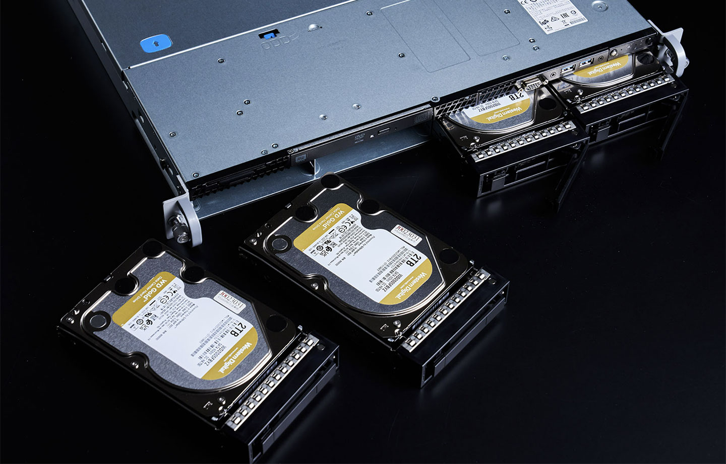 Genuine 捷元 RX2120 1U 機架伺服系統配置了四顆單碟 2TB 的 WD Gold 硬碟。