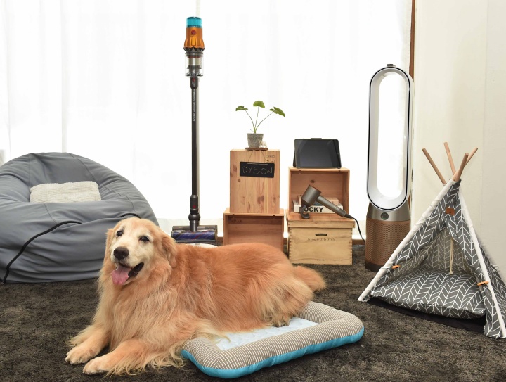 萌寵家清潔利器！Dyson 全新「毛髮清潔工具組」與無線吸塵器升級，打造健康寵物宅