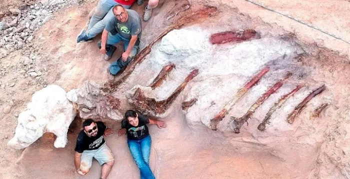 葡萄牙一男擴建自家後院花園，意外發現洲最大的蜥腳類恐龍骨骸化石
