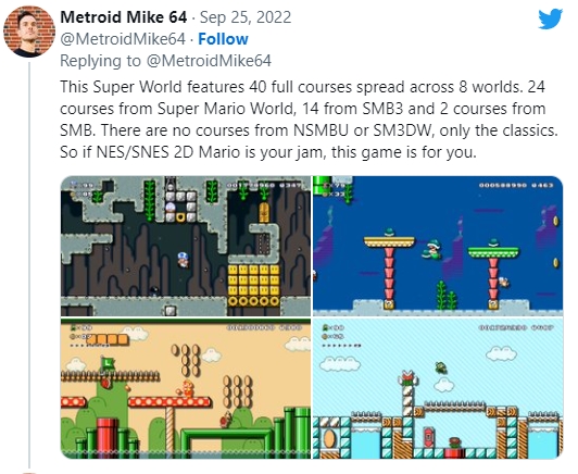 Mario diehard players took 7 years to build, 