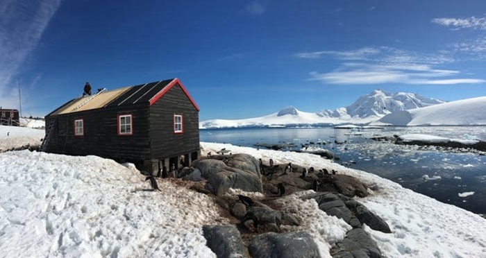 南極郵局招人專職「數企鵝」，月薪5萬元起跳、但生活沒有電也沒有馬桶