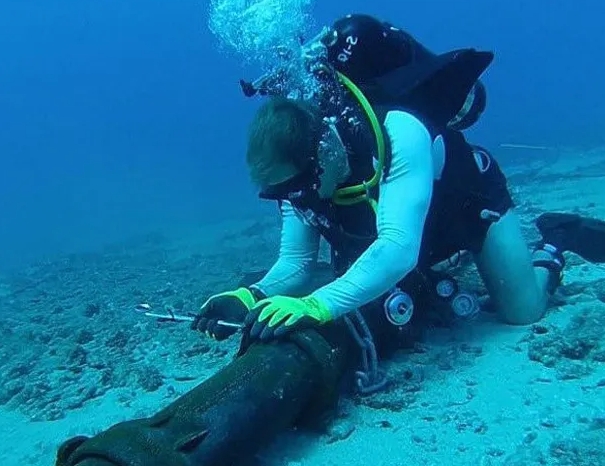 洲多條海底電纜一夜受損，專家懷疑沒這麼巧合