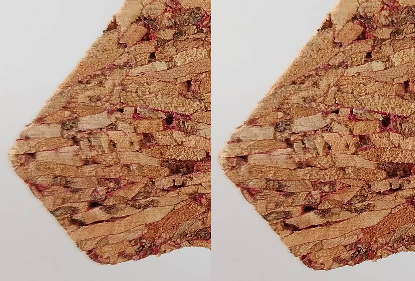 同一個軟木塞的近拍對比照，左邊是以 1,250 萬畫素拍攝（放大至 200%），右邊是以 5,000 萬畫素拍攝（放大至 100%），可以發現 5,000 萬畫素拍出來的細節紋理被記錄得更完整。