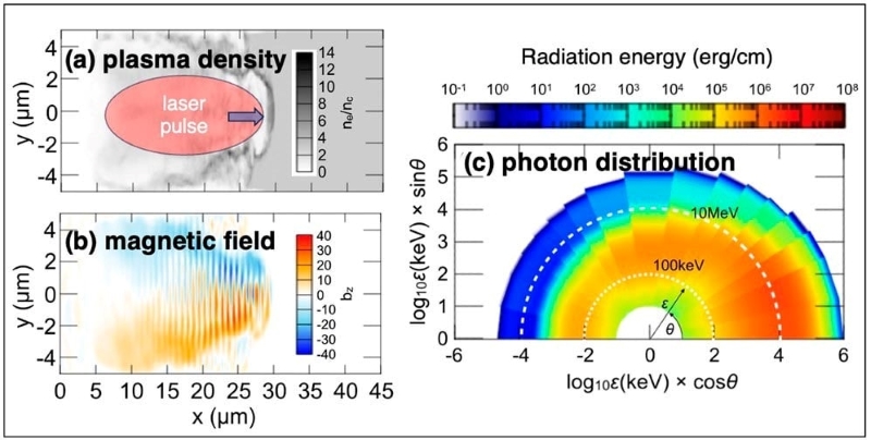 由強雷射脈衝驅動的自組織光對撞機（a）電漿體密度，（b）磁通道，（c）發射光的角度分佈。來源：《物理評論快報》