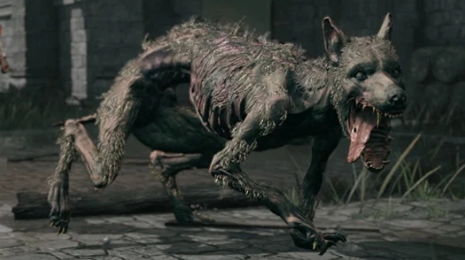 玩家測試明 《艾爾登法環》唯一的「友善狗」並非天生友善，只是攻擊你的理由被刪除了