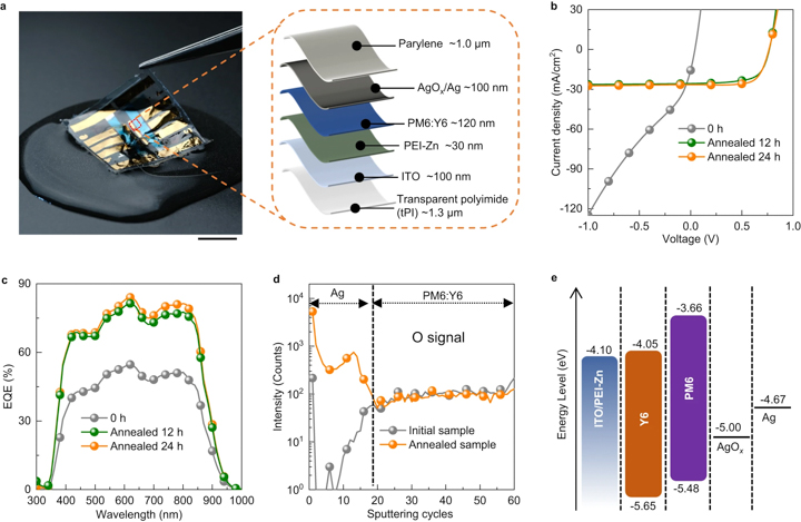 科學家研究可以彎曲並浸泡在水中的有機太陽能電池，讓你可以把太陽能電池穿著走