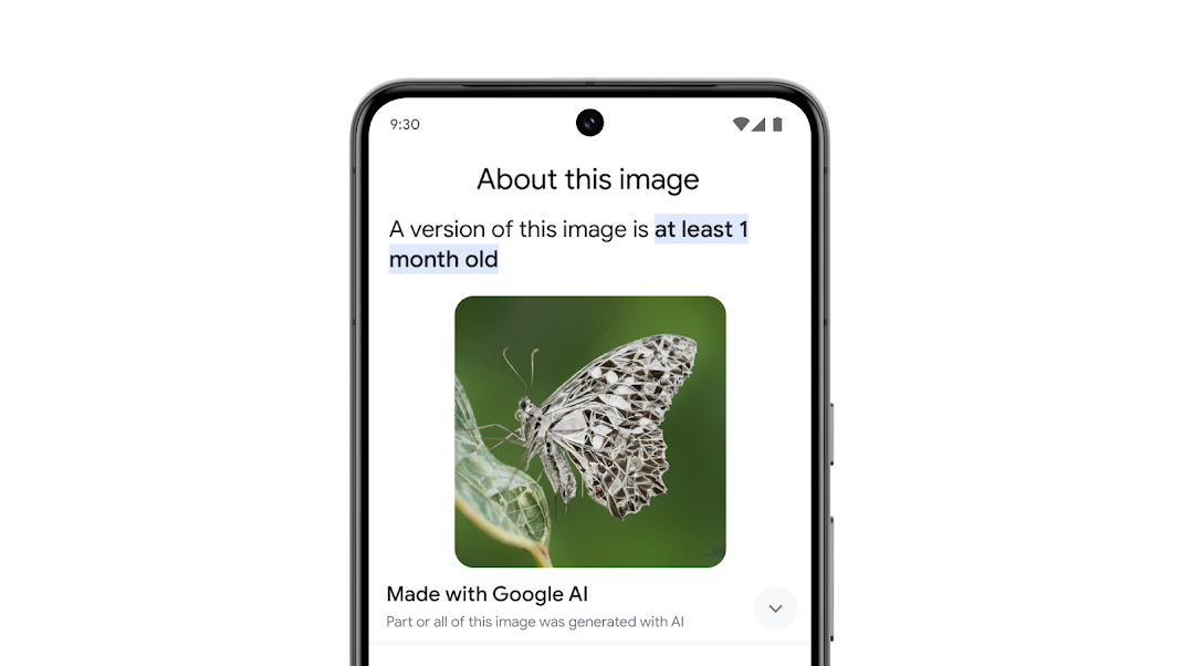 使用「關於圖像」功能的範例，其 SynthID 可以幫助用戶確定圖像是否是使用 Google 的 AI 工具產生的。