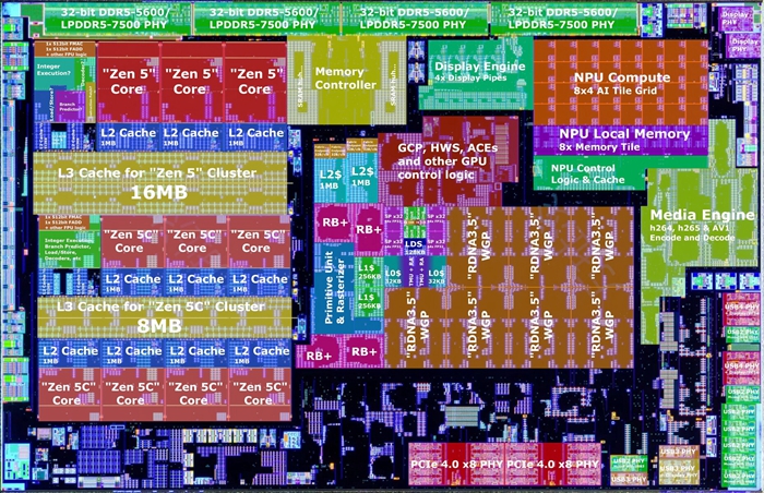 下一代行動版Ryzen處理器Strix Point裸片截圖曝光，詳解AMD奪回效能之王的秘密