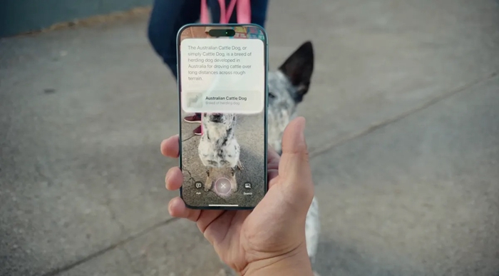iPhone 16的Visual Intelligence視覺智慧功能，是對Google Lens的直接挑戰