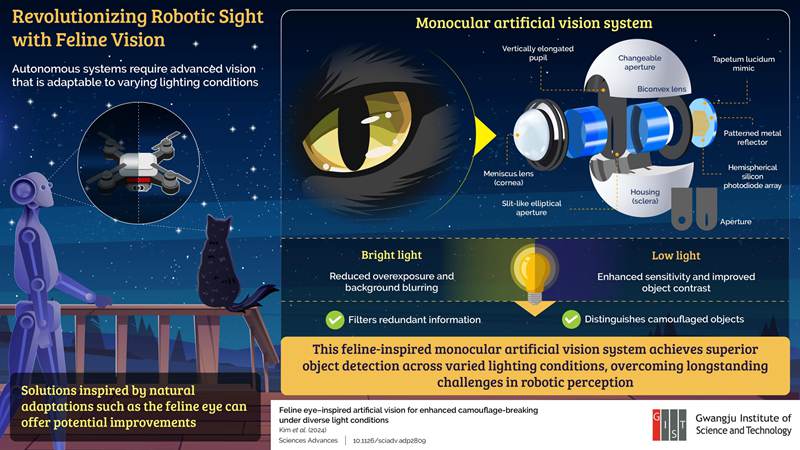 韓國科學家以貓眼為模型，建立新型視覺系統增強了機器人的視覺能力