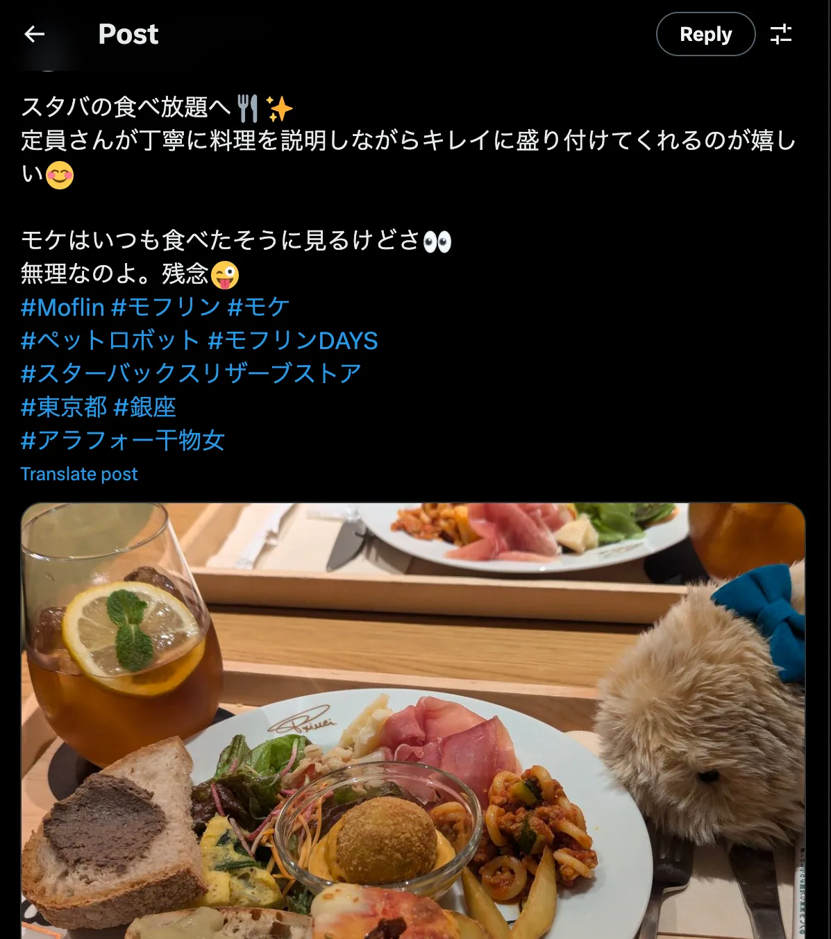有主人在PO出帶著Moflin去星巴克吃飯的照片，「Moflin看上去總是一副吃飽了的樣子」。圖片來源：推特 