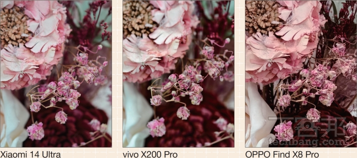 vivo 蔡司、小米徠卡、OPPO 哈蘇：手機與相機品牌聯手力作，創造出哪些厲害的手機拍攝影像？