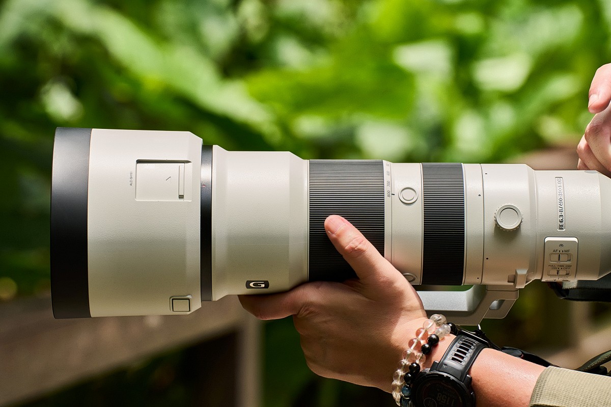 從低光到長焦全滿足，Sony SEL300F28GM + SEL400800G 打造全能飛羽攝影組合！