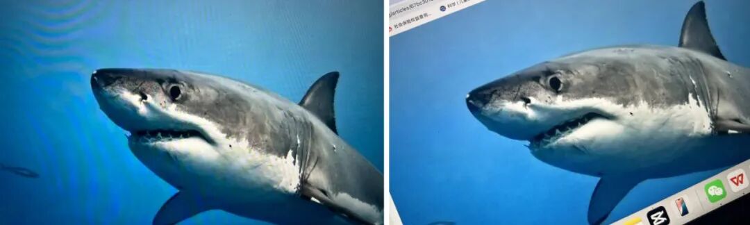 拍照看到「神秘條紋」？摩爾紋不只是惱人，還是紙鈔的防偽密技！