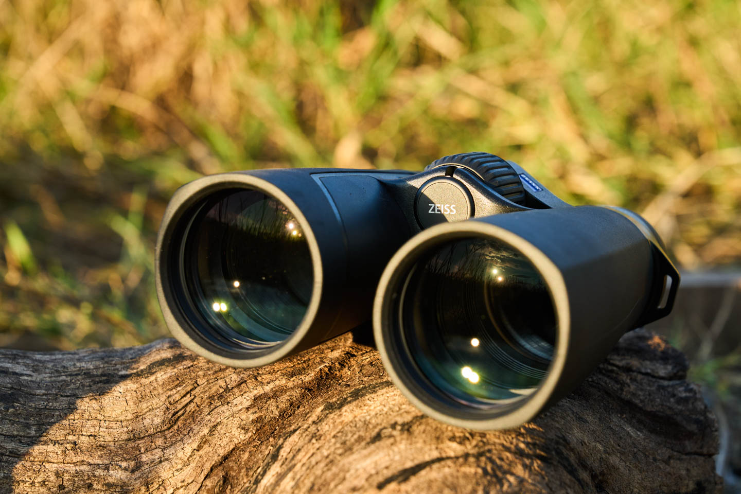 探尋山林原野間的飛羽身影，攝影師蘇亮宇與 ZEISS SFL 50 雙筒望遠鏡的深度對話