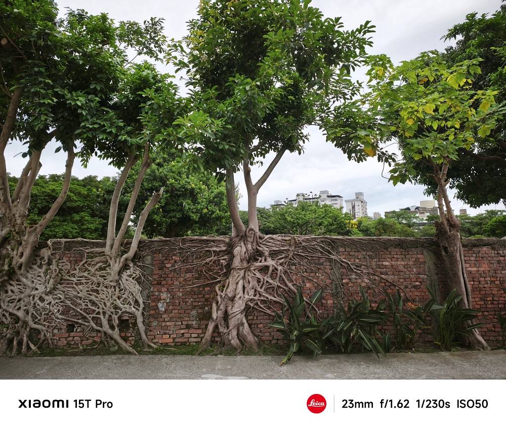 Xiaomi 15T Pro 測試心得:全焦段影像與旗艦體驗的融合