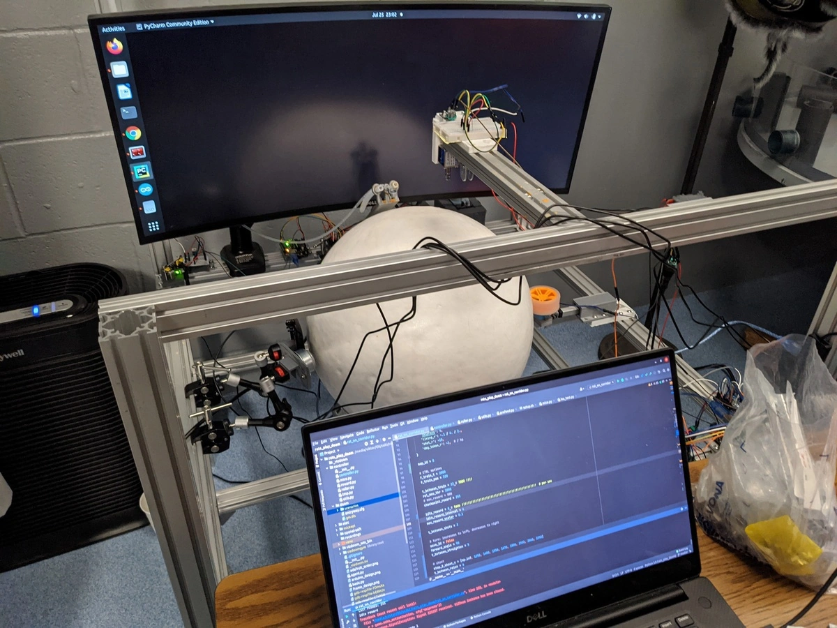 神經工程新突破！實驗鼠學會在《毀滅戰士》裡「開火射擊」