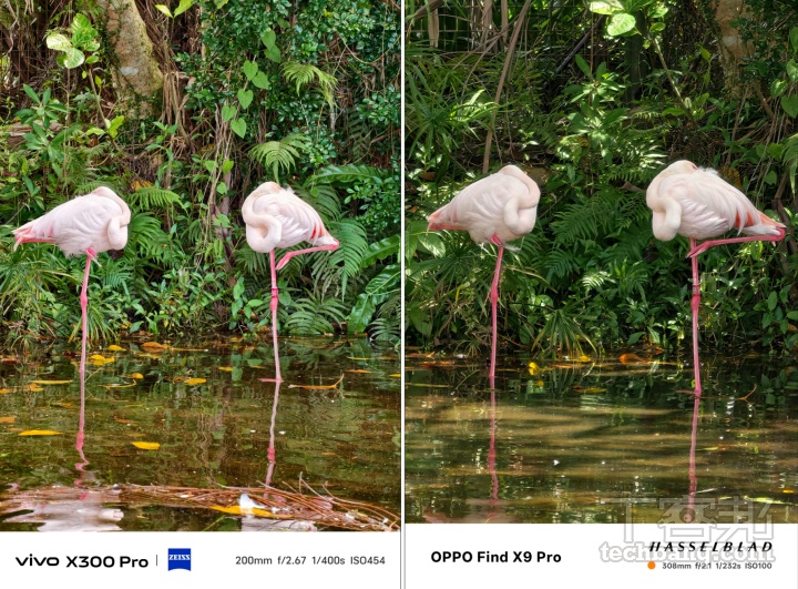 蔡司美學 vs. 哈蘇色彩！vivo X300 Pro、OPPO Find X9 Pro 旗艦影像實測大公開