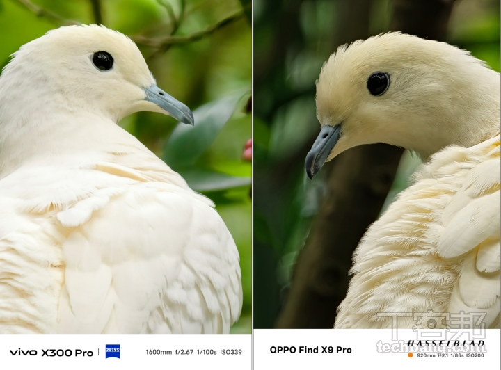 蔡司美學 vs. 哈蘇色彩！vivo X300 Pro、OPPO Find X9 Pro 旗艦影像實測大公開