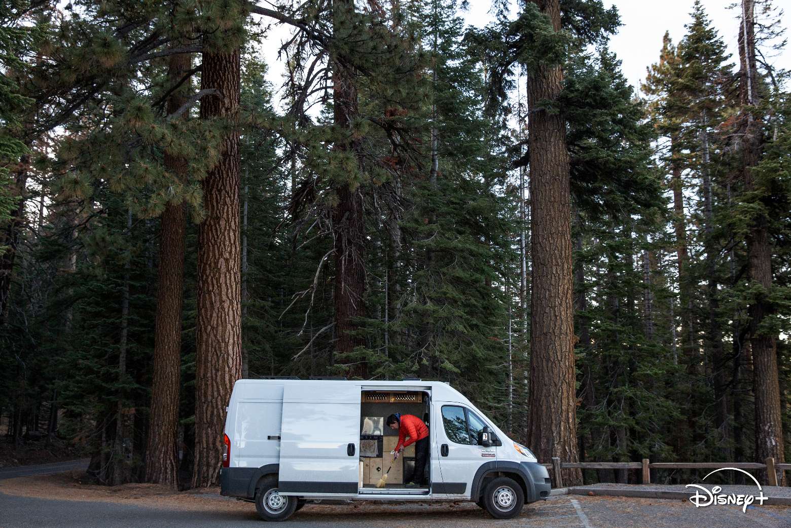 《赤手登峰》紀錄片曝艾力克斯爬酋長岩秘辛，高度堪比兩座 101、Disney+ 就能看