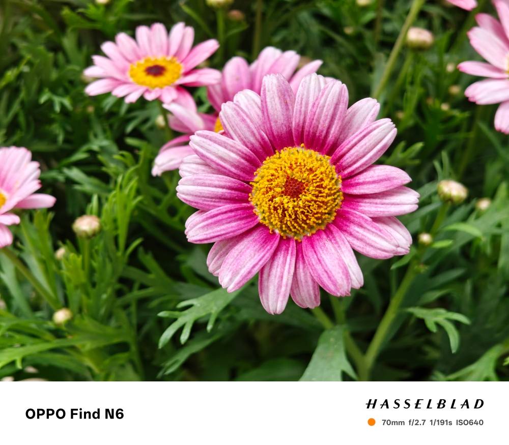 不只沒有摺痕，OPPO Find N6 升級 AI 產生圖表、相機也跟著升級了