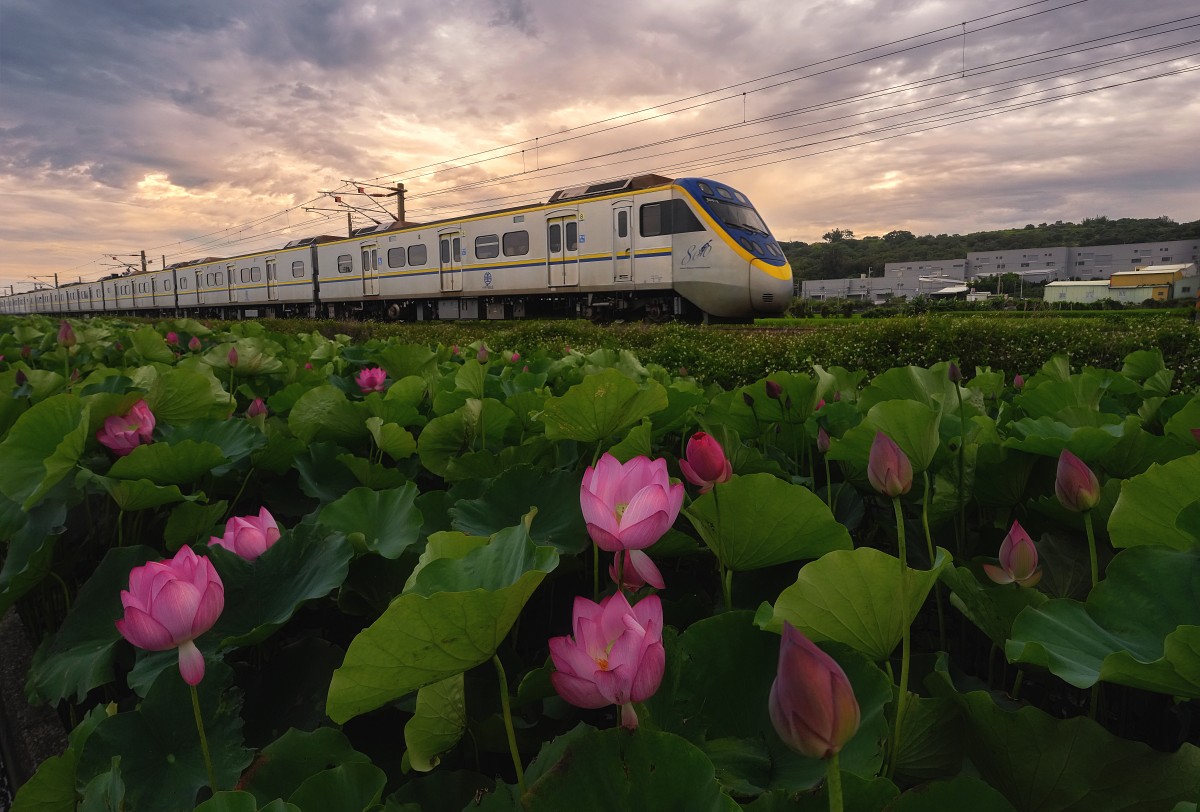 風景攝影師韋琪談 Sony α7R VI：高畫素相機也能精準捉每一個動態瞬間
