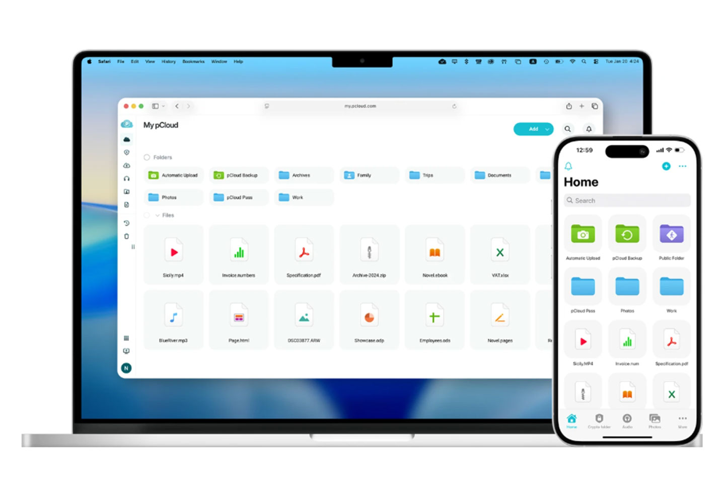 pCloud 完整支援各個不同的系統平台與裝置，透過專屬 App 或是網路瀏覽器都能輕鬆存取雲端空間。